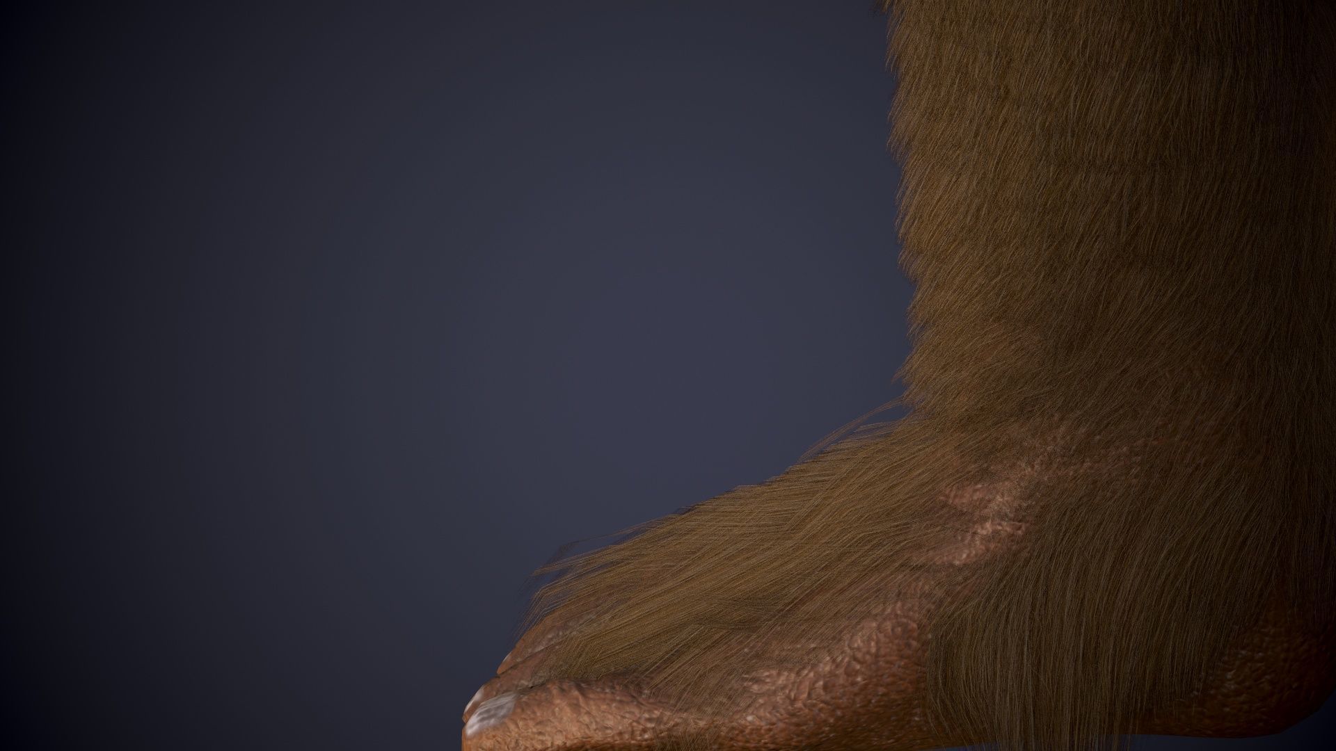 Ape Gorila king kong Low-poly 3D model_16
