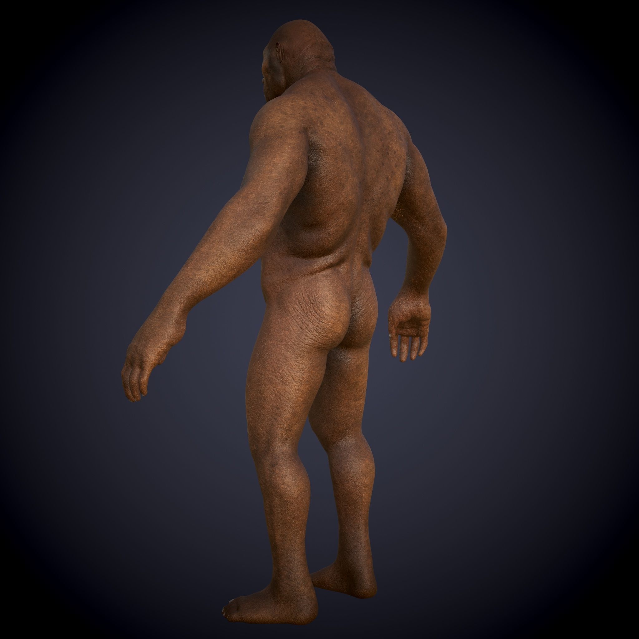 Ape Gorila king kong Low-poly 3D model_6