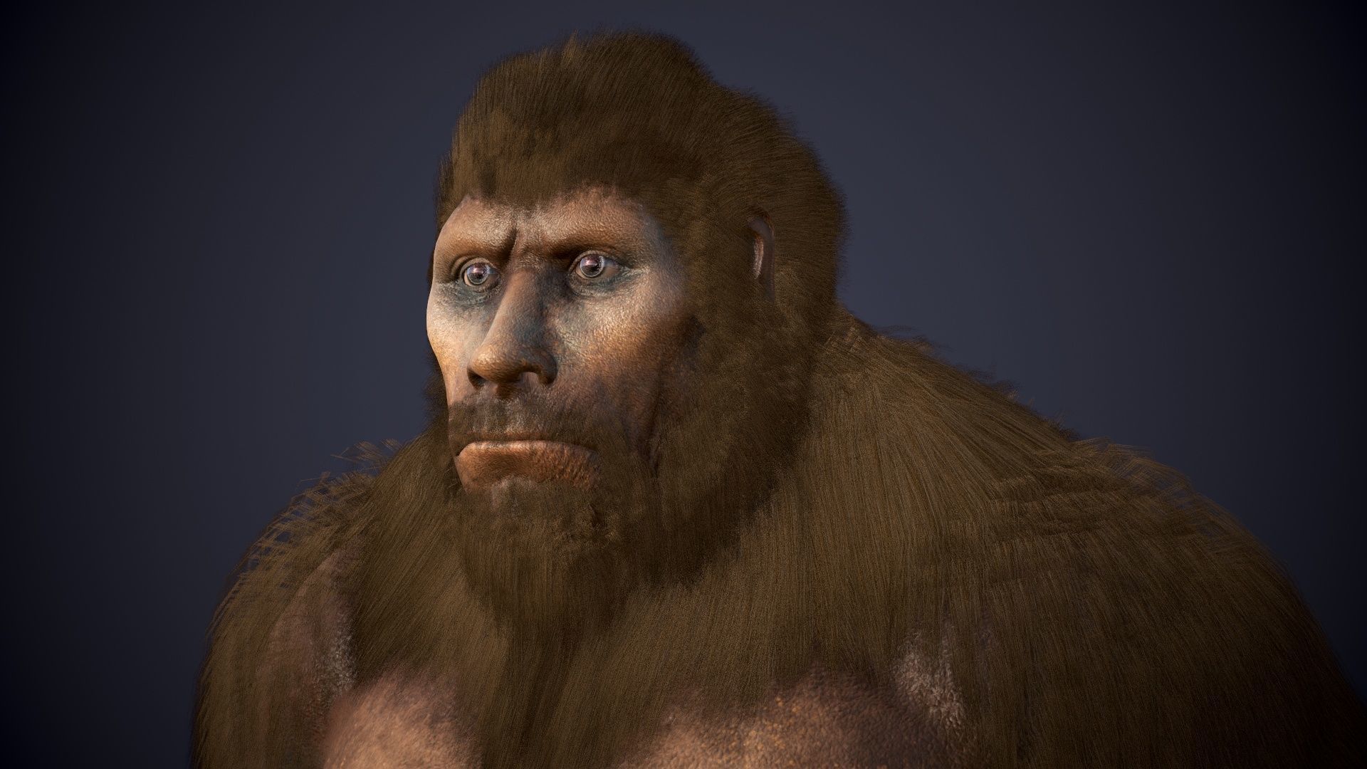 Ape Gorila king kong Low-poly 3D model_12