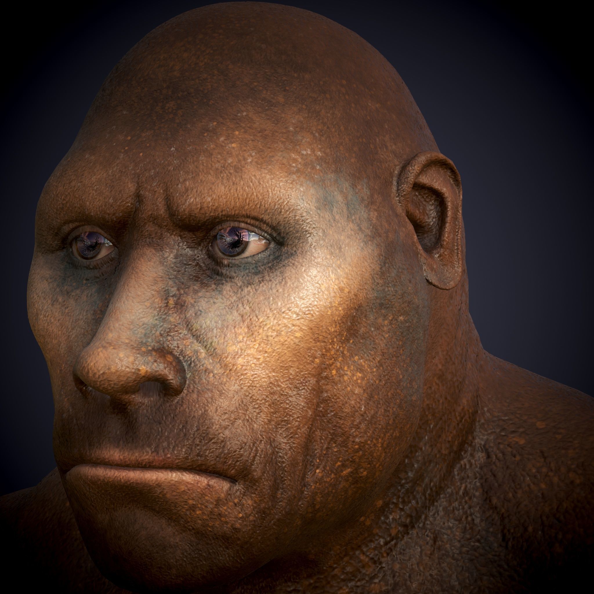 Ape Gorila king kong Low-poly 3D model_3