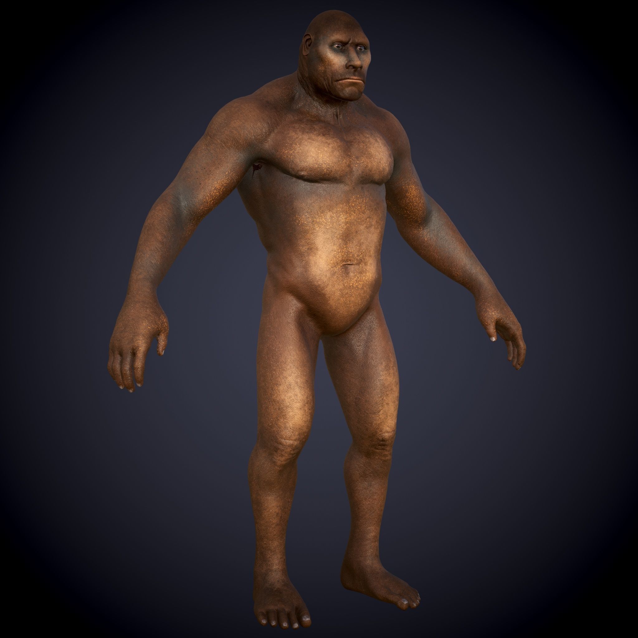 Ape Gorila king kong Low-poly 3D model_5