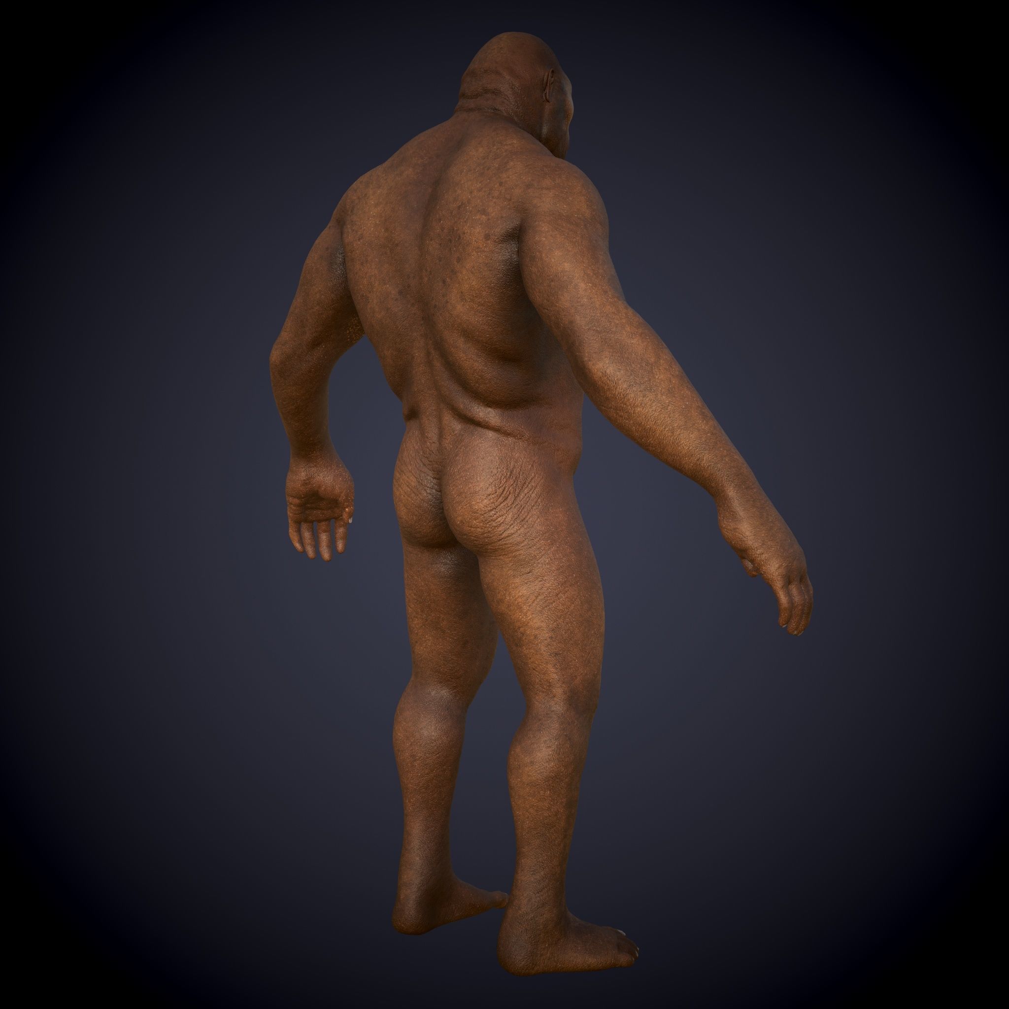 Ape Gorila king kong Low-poly 3D model_1