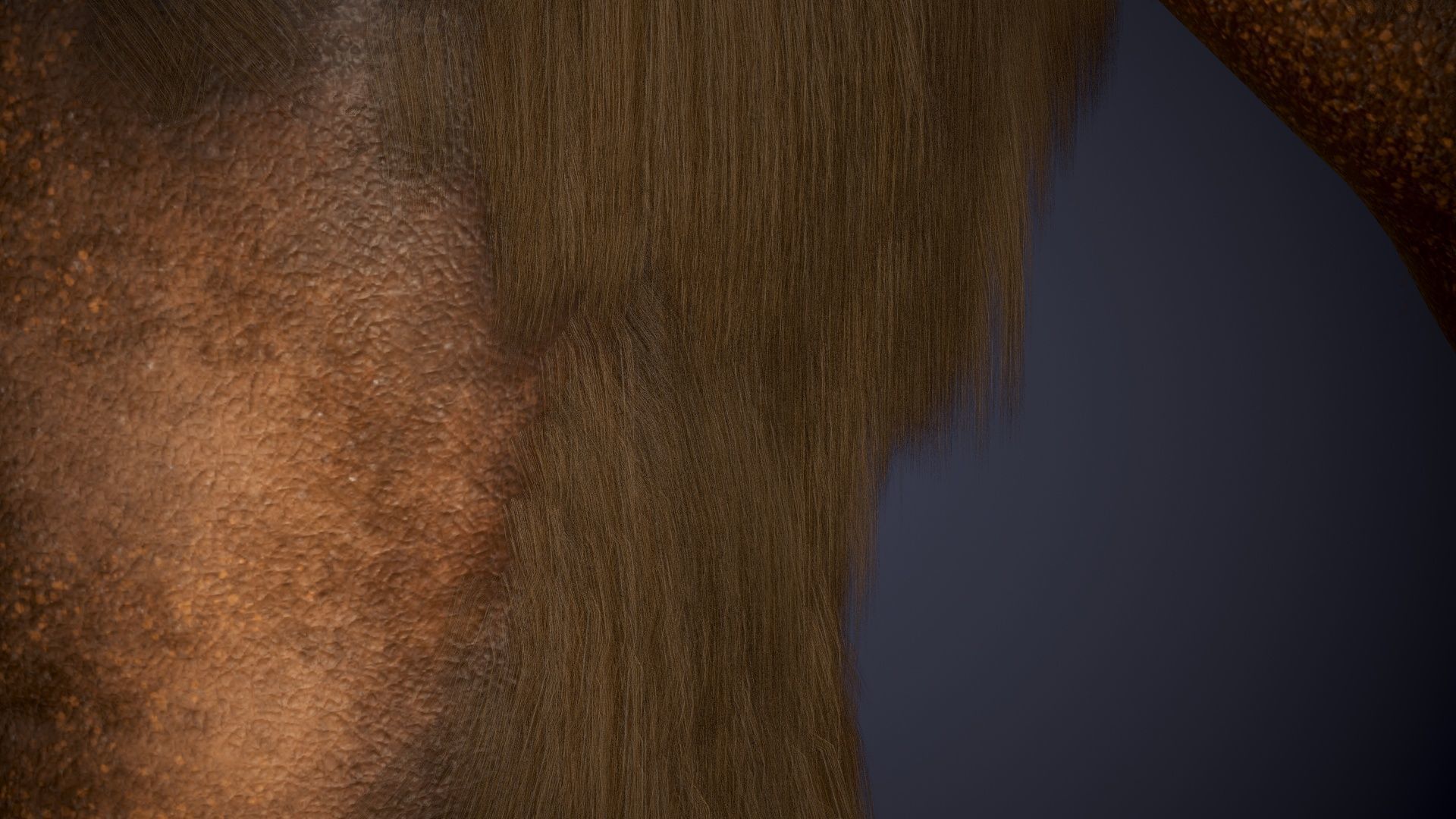 Ape Gorila king kong Low-poly 3D model_11