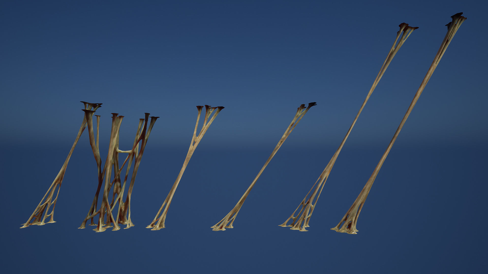 Biomass webs Low-poly 3D model_9