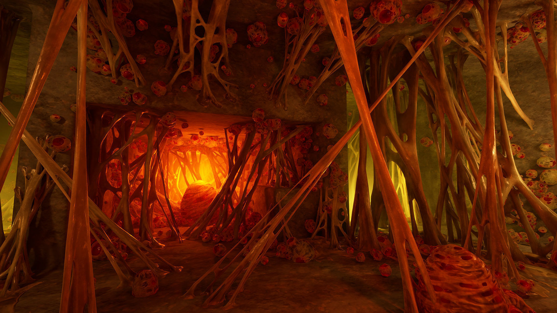 Biomass webs Low-poly 3D model_5