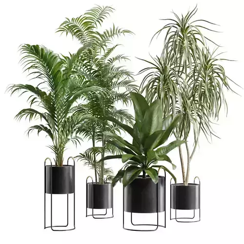 Indoor Plants Pack 77