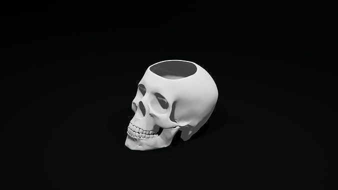 Skull Planter - Skull Pot 3D Model for Printing STL File  3D print model