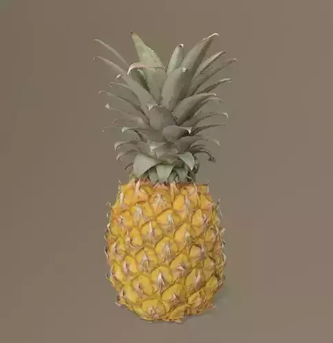 Pineapple