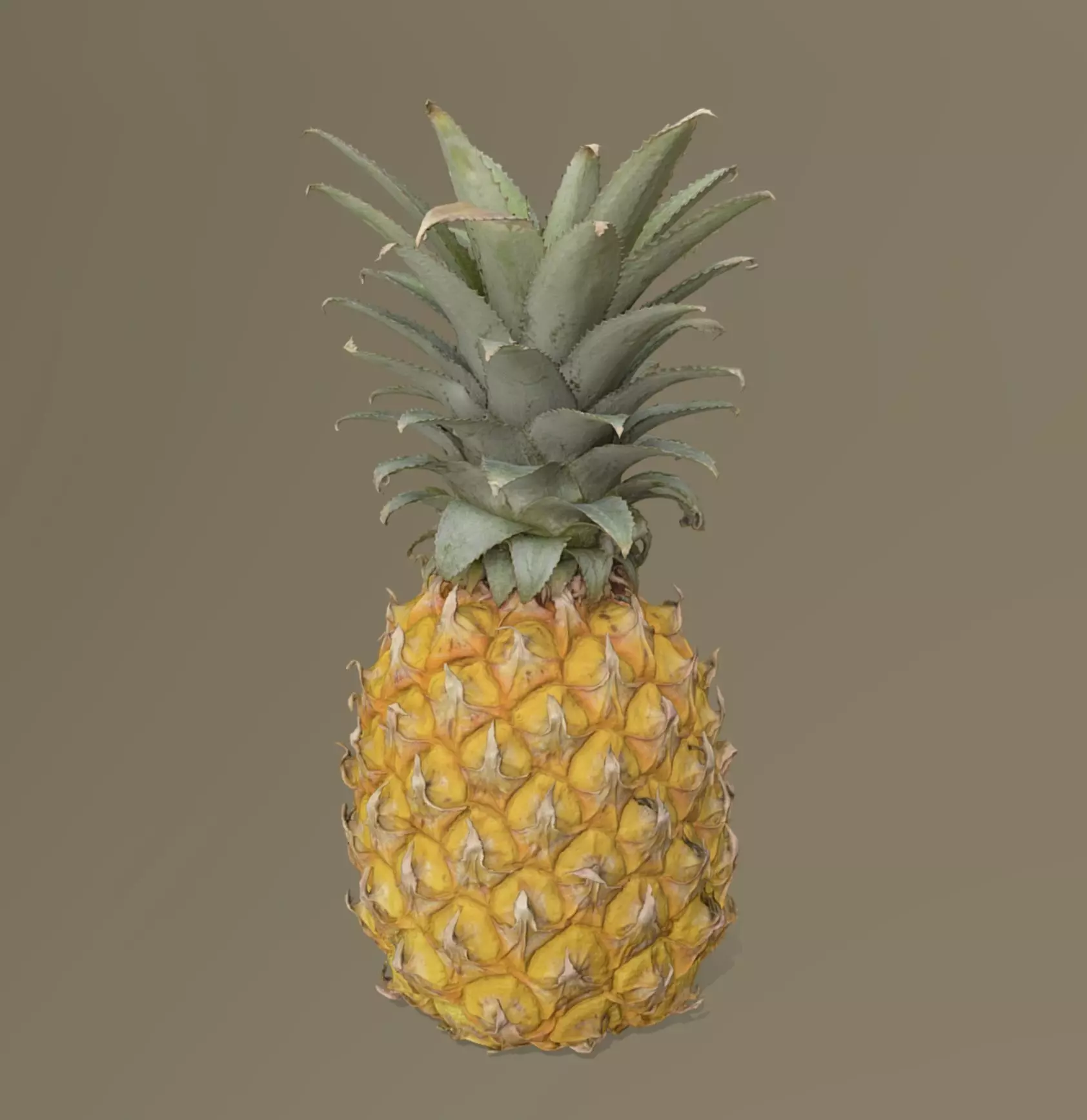 Pineapple 3D model_0