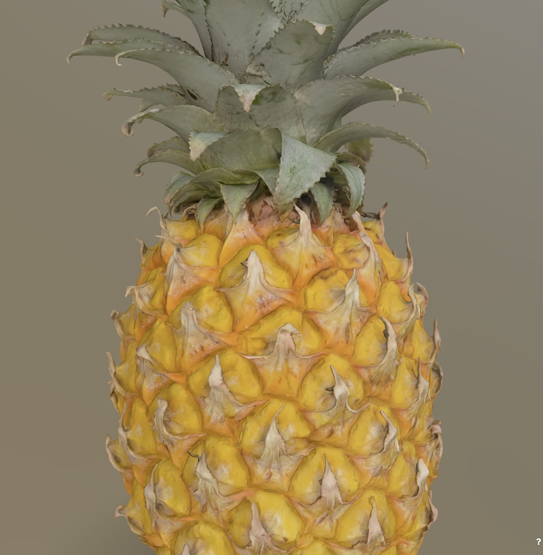 Pineapple 3D model_4