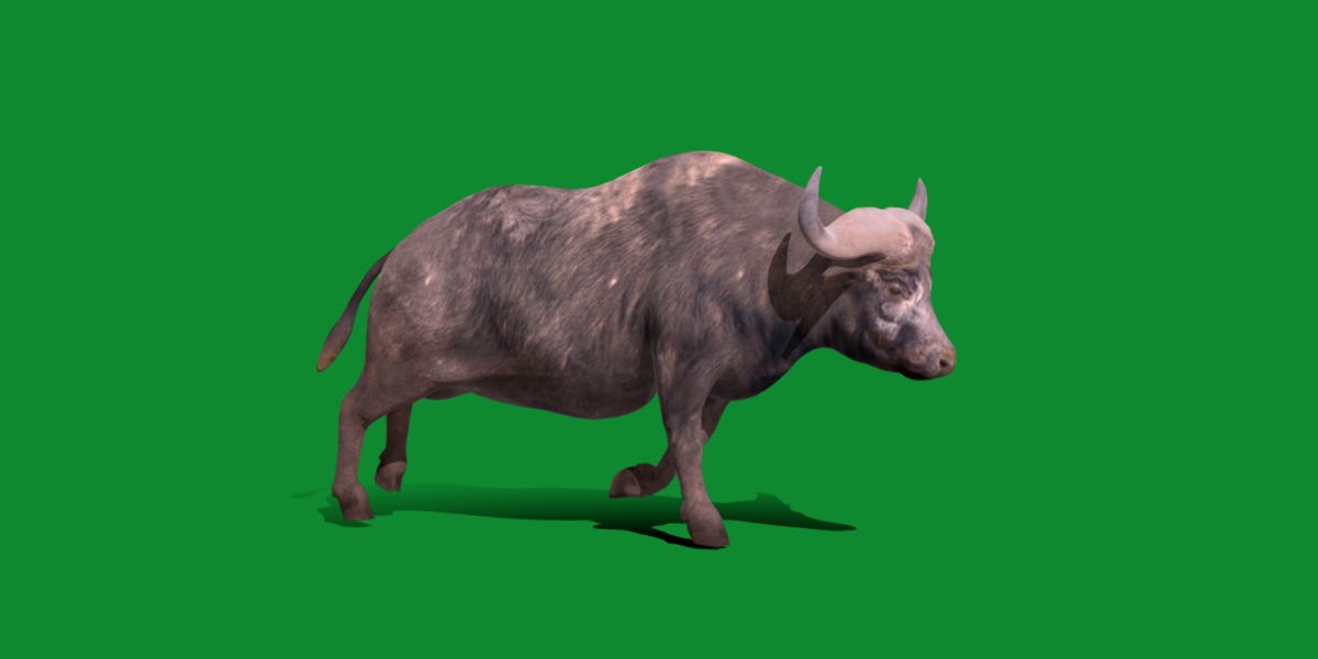 African Buffalo Low-poly 3D model_34