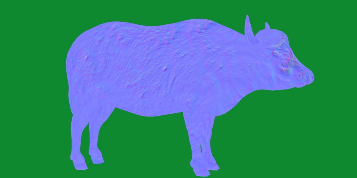African Buffalo Low-poly 3D model_15