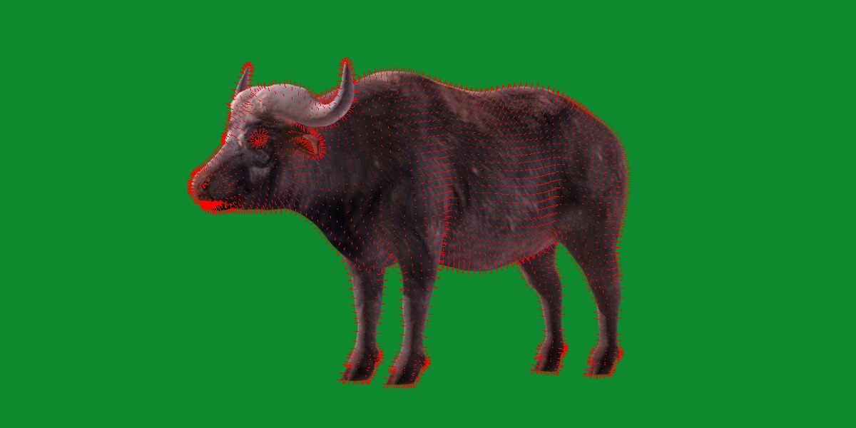 African Buffalo Low-poly 3D model_25