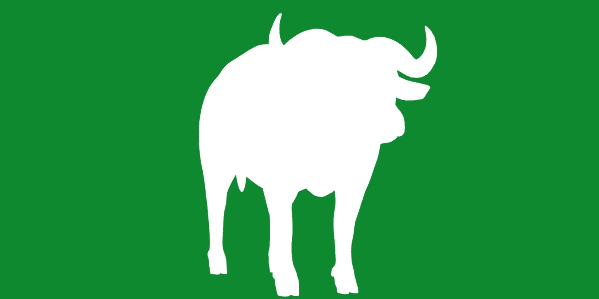 African Buffalo Low-poly 3D model_14