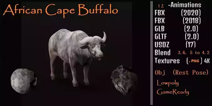 African Buffalo Low-poly 3D model