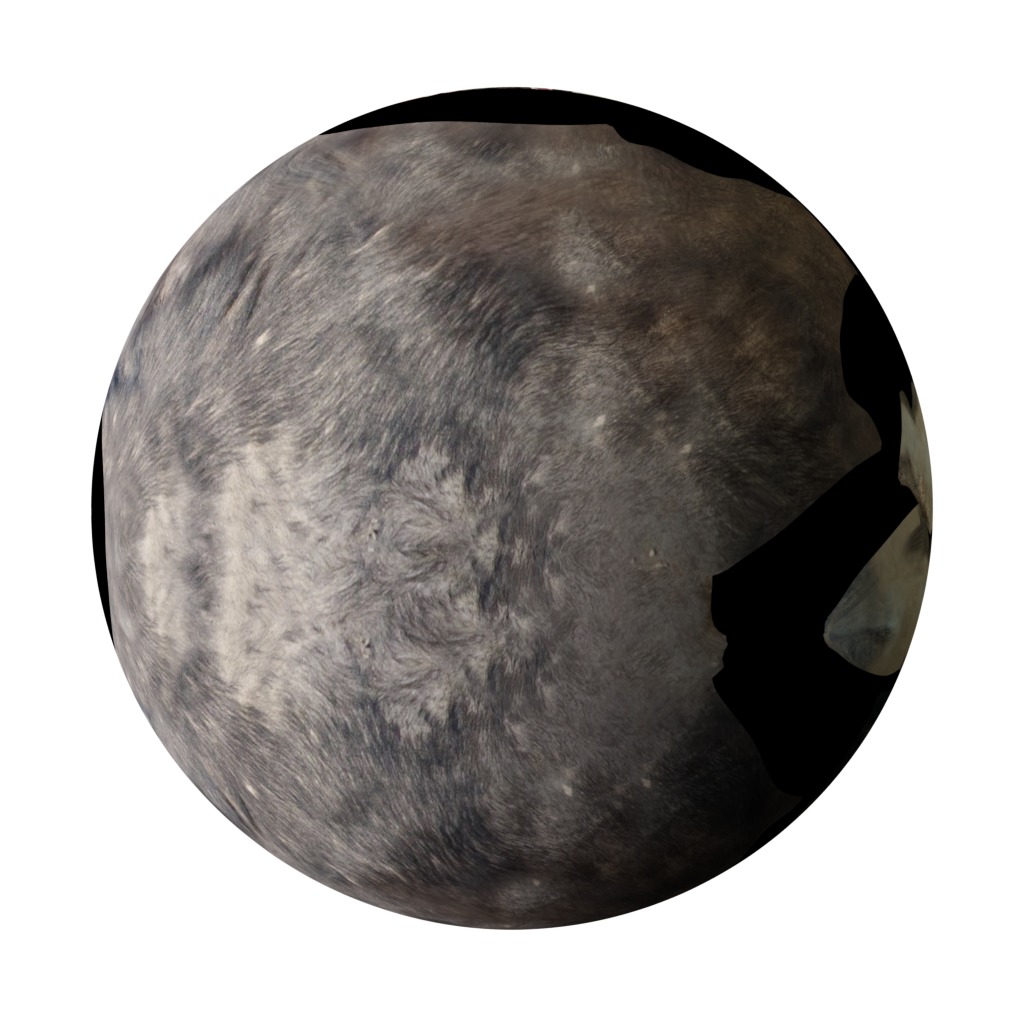 African Buffalo Low-poly 3D model_4