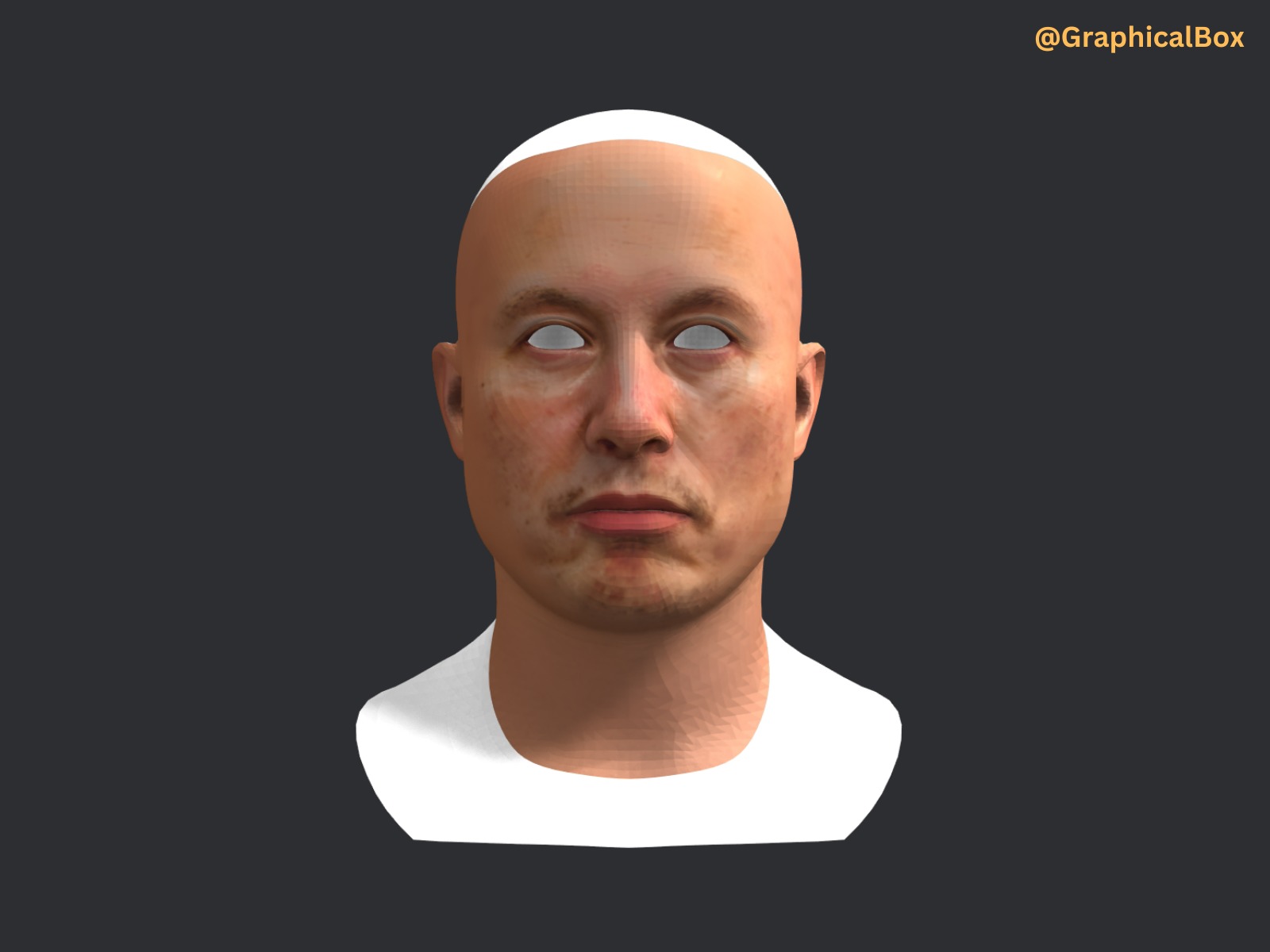 Elon Musk 3d Face Base Mesh Model 3D model_2