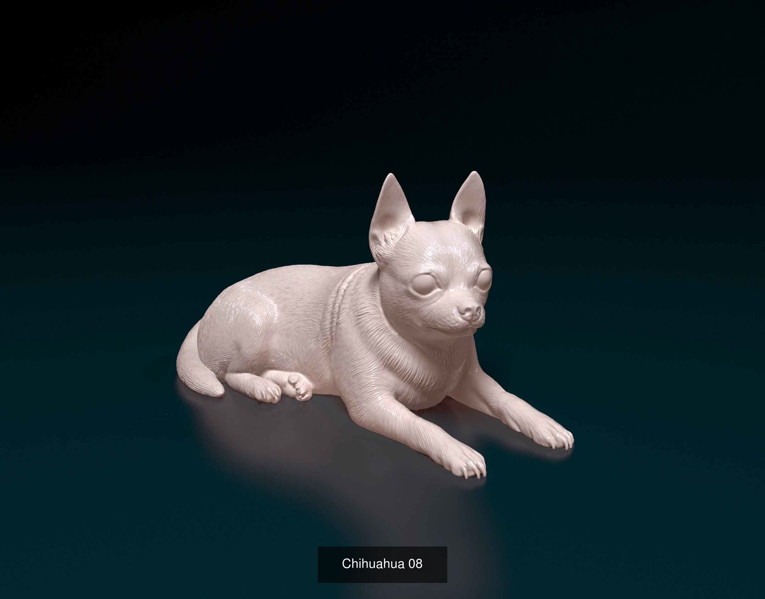 ronanskt-rm 01 3D Model Collection_21