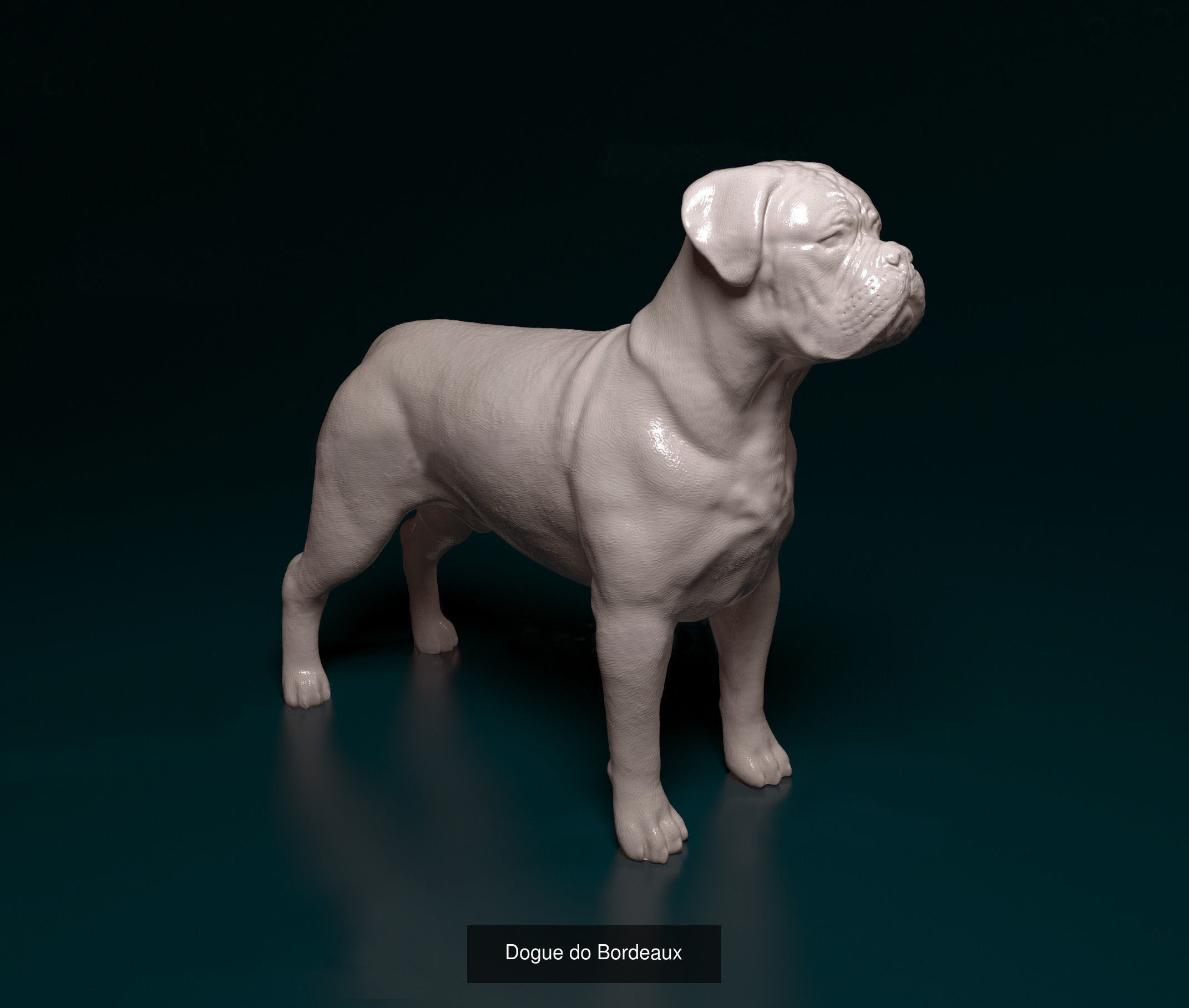 ronanskt-rm 01 3D Model Collection_13