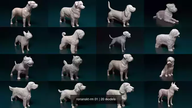 ronanskt-rm 01 3D Model Collection