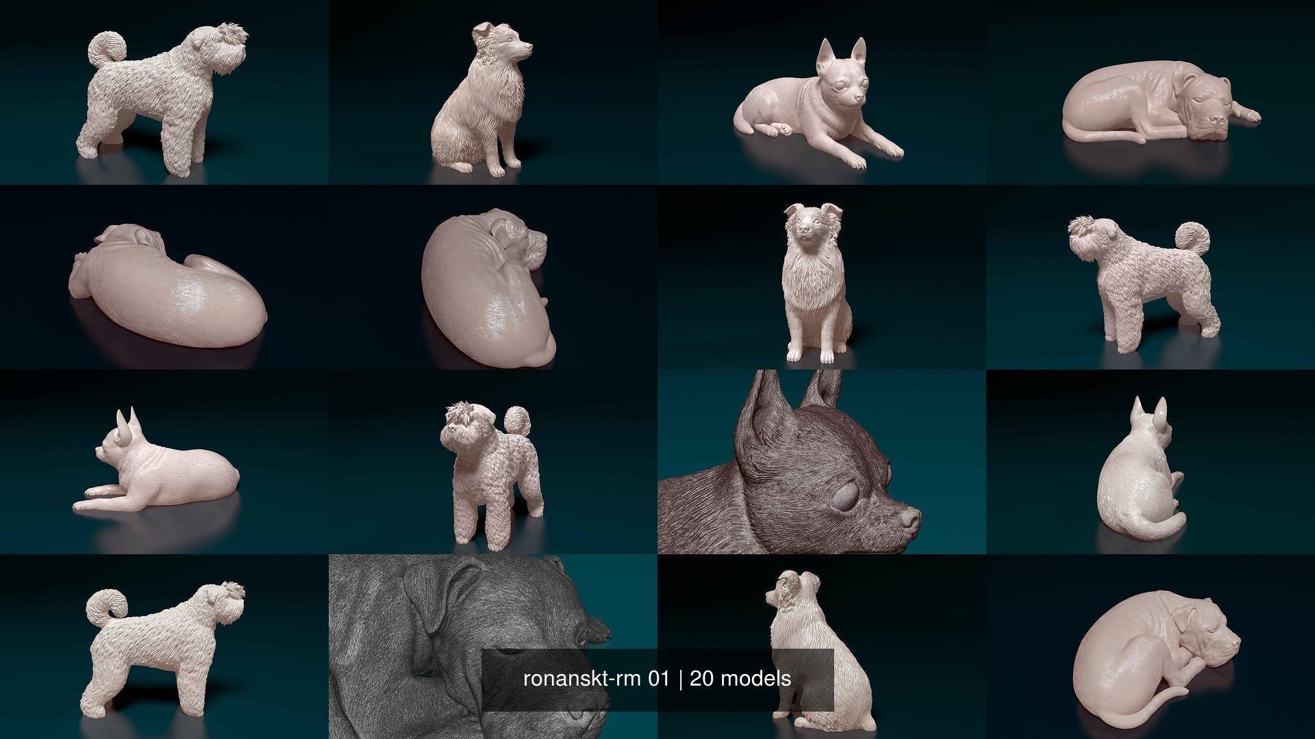 ronanskt-rm 01 3D Model Collection_2