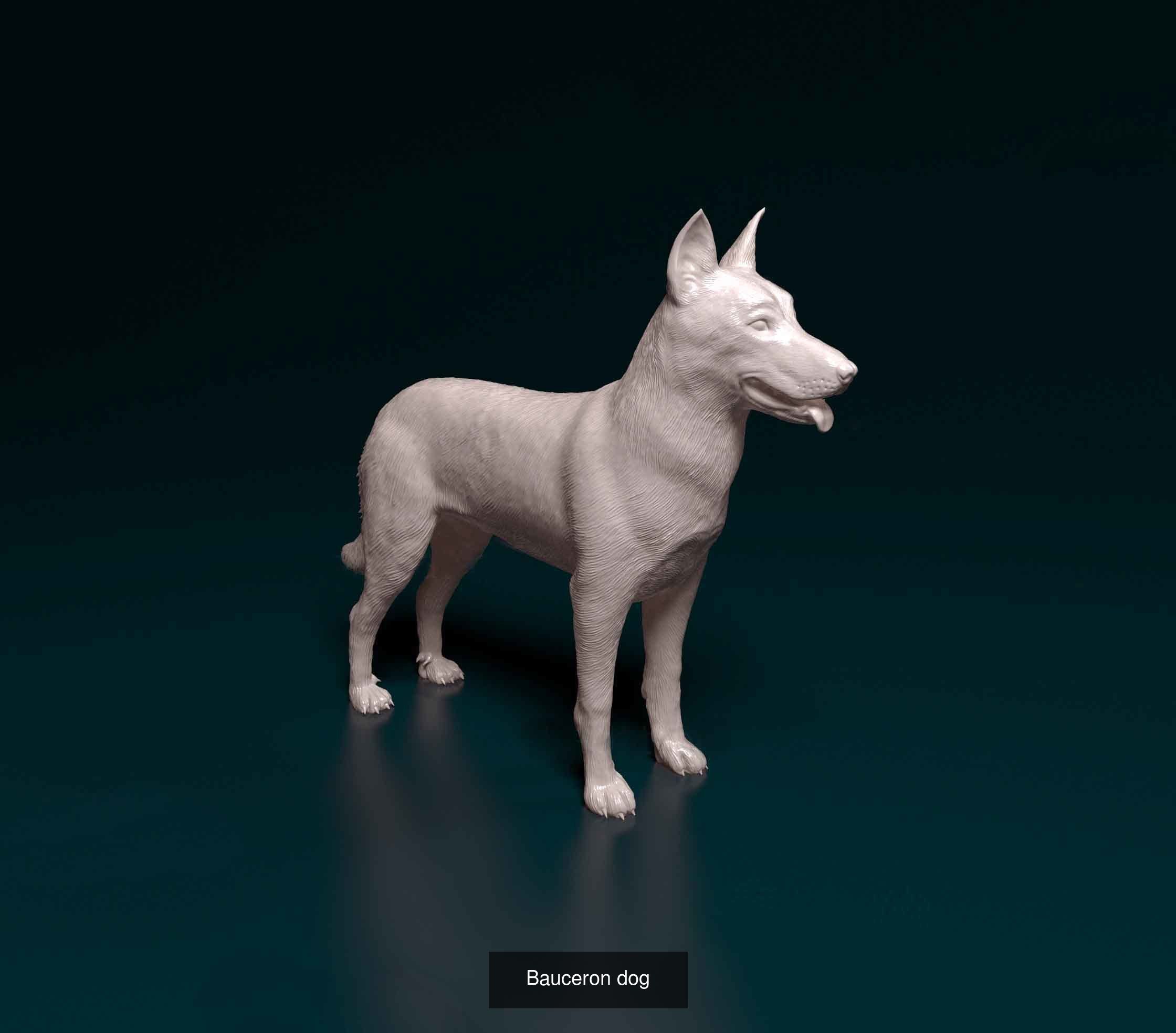 ronanskt-rm 01 3D Model Collection_18