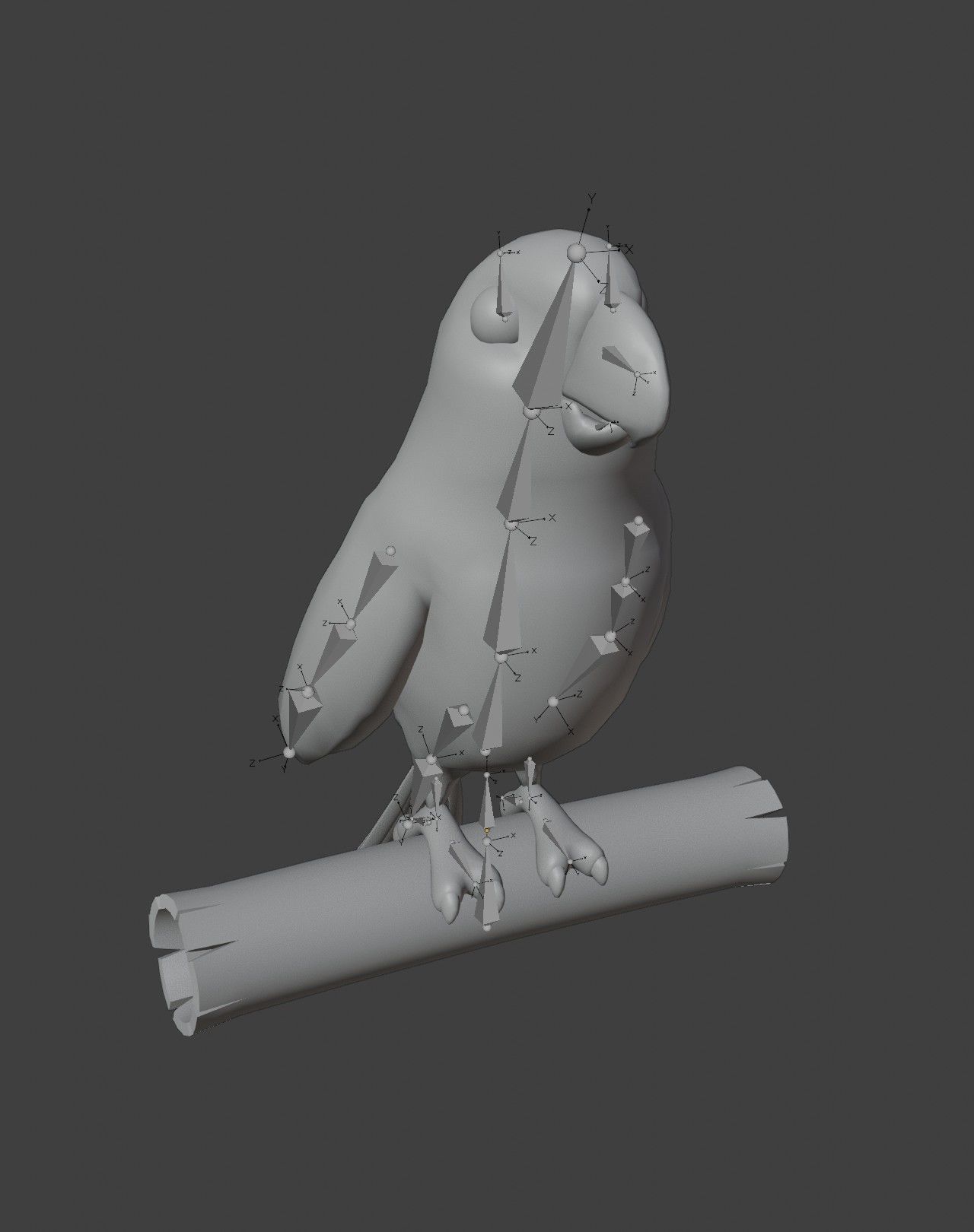 Cartoon Animated Ara Parrot and Squirrel 3D Model Collection Low-poly 3D model_23