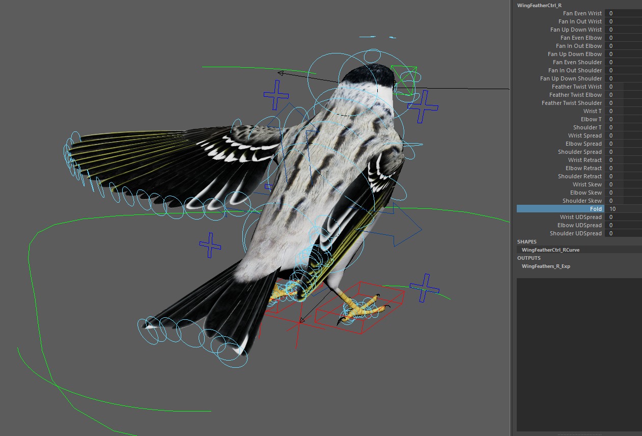 3D Bird Pack Blackpoll Warbler Male and Female Low-poly 3D model_36