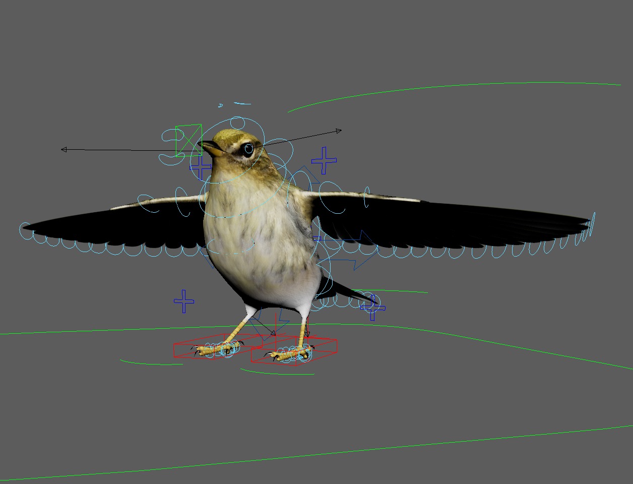 3D Bird Pack Blackpoll Warbler Male and Female Low-poly 3D model_33