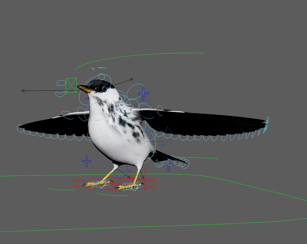 3D Bird Pack Blackpoll Warbler Male and Female Low-poly 3D model_34