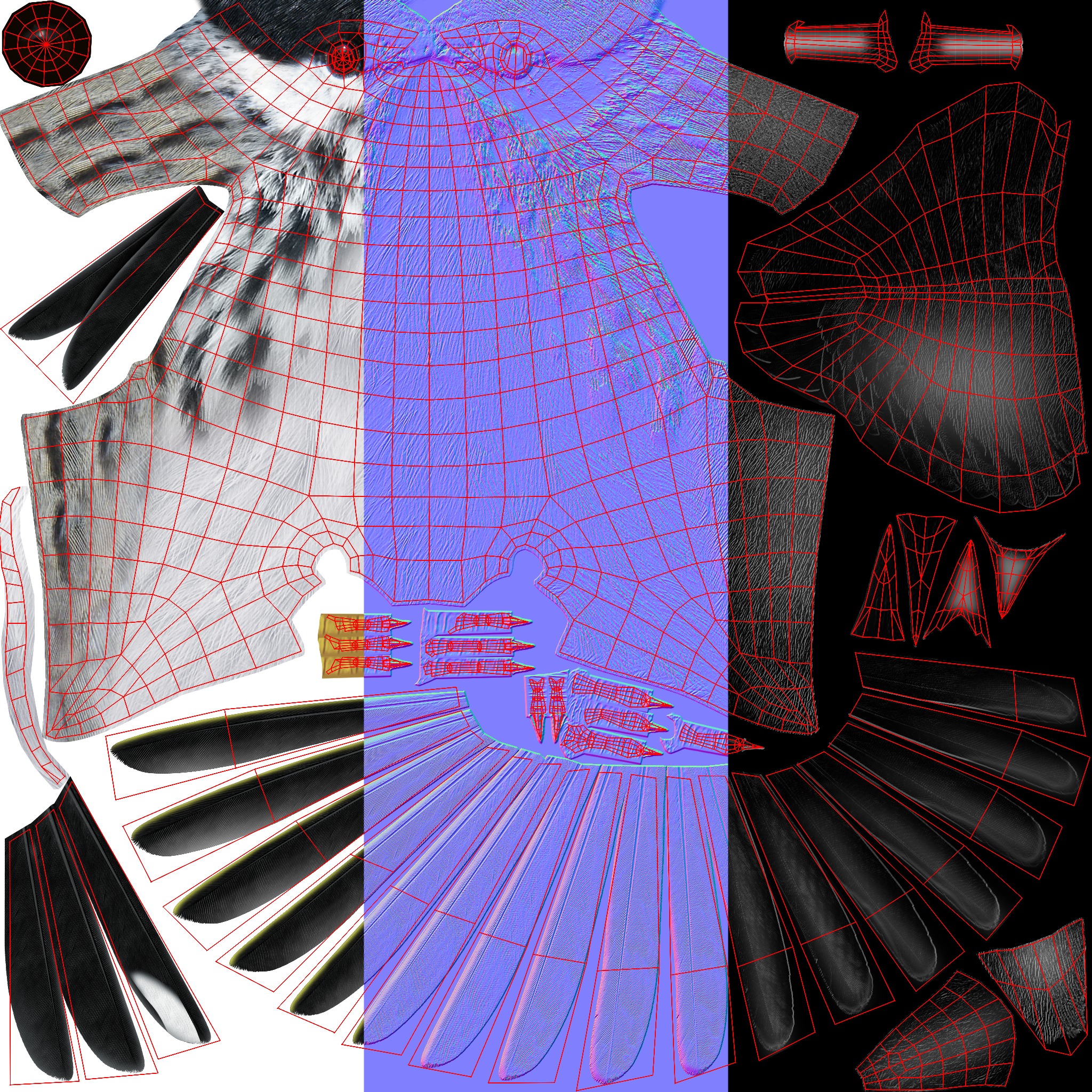 3D Bird Pack Blackpoll Warbler Male and Female Low-poly 3D model_38