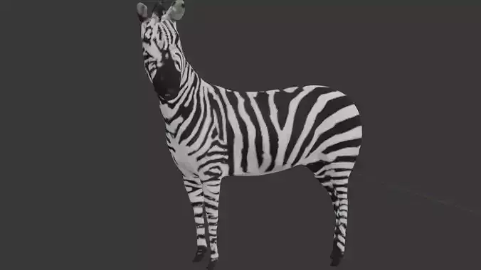 Zebra