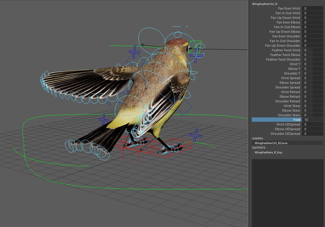3D Bird Pack Palm Warbler Male and Female Low-poly 3D model_37