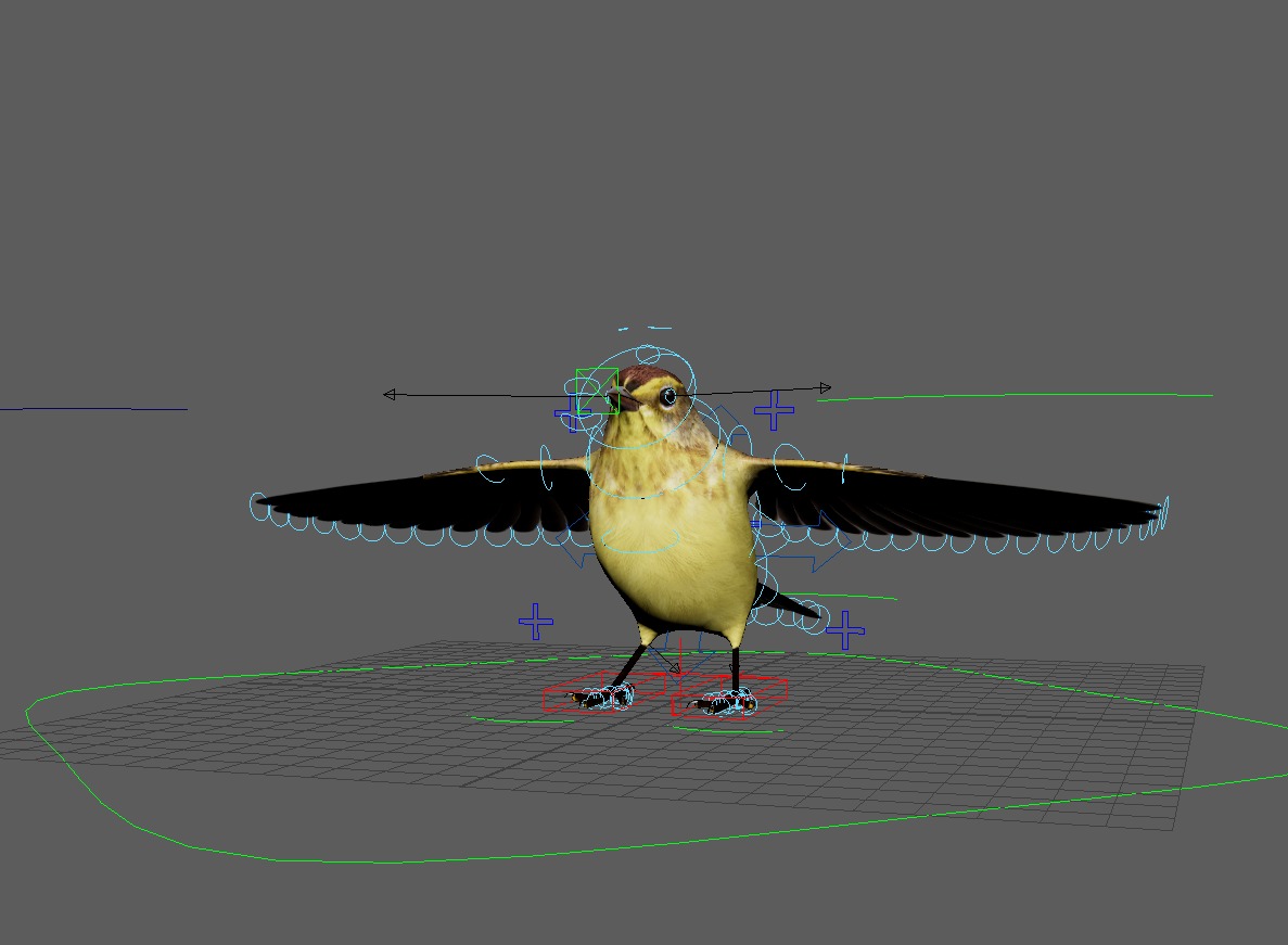 3D Bird Pack Palm Warbler Male and Female Low-poly 3D model_39