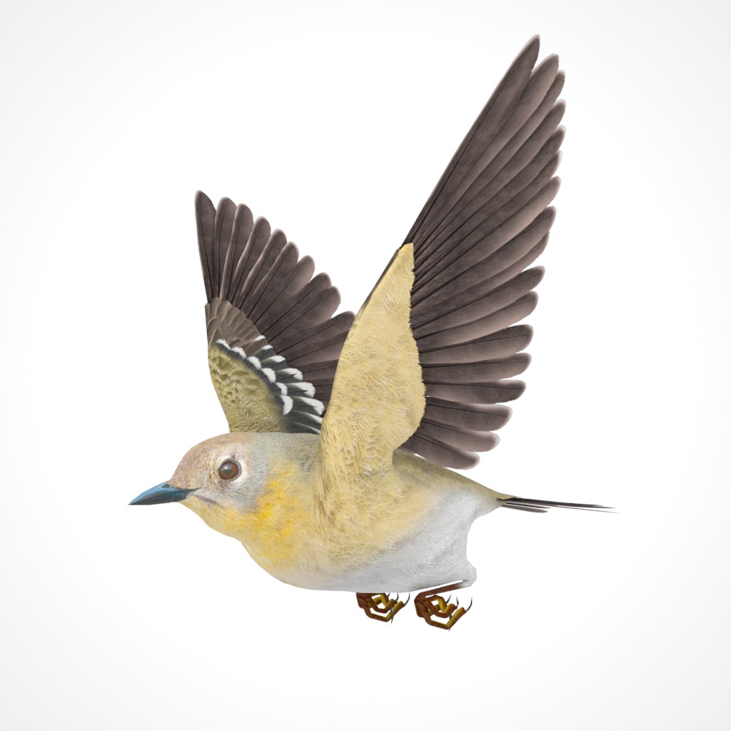 3D Bird Pack Pine Warbler Male and Female Low-poly 3D model Low-poly 3D model_21
