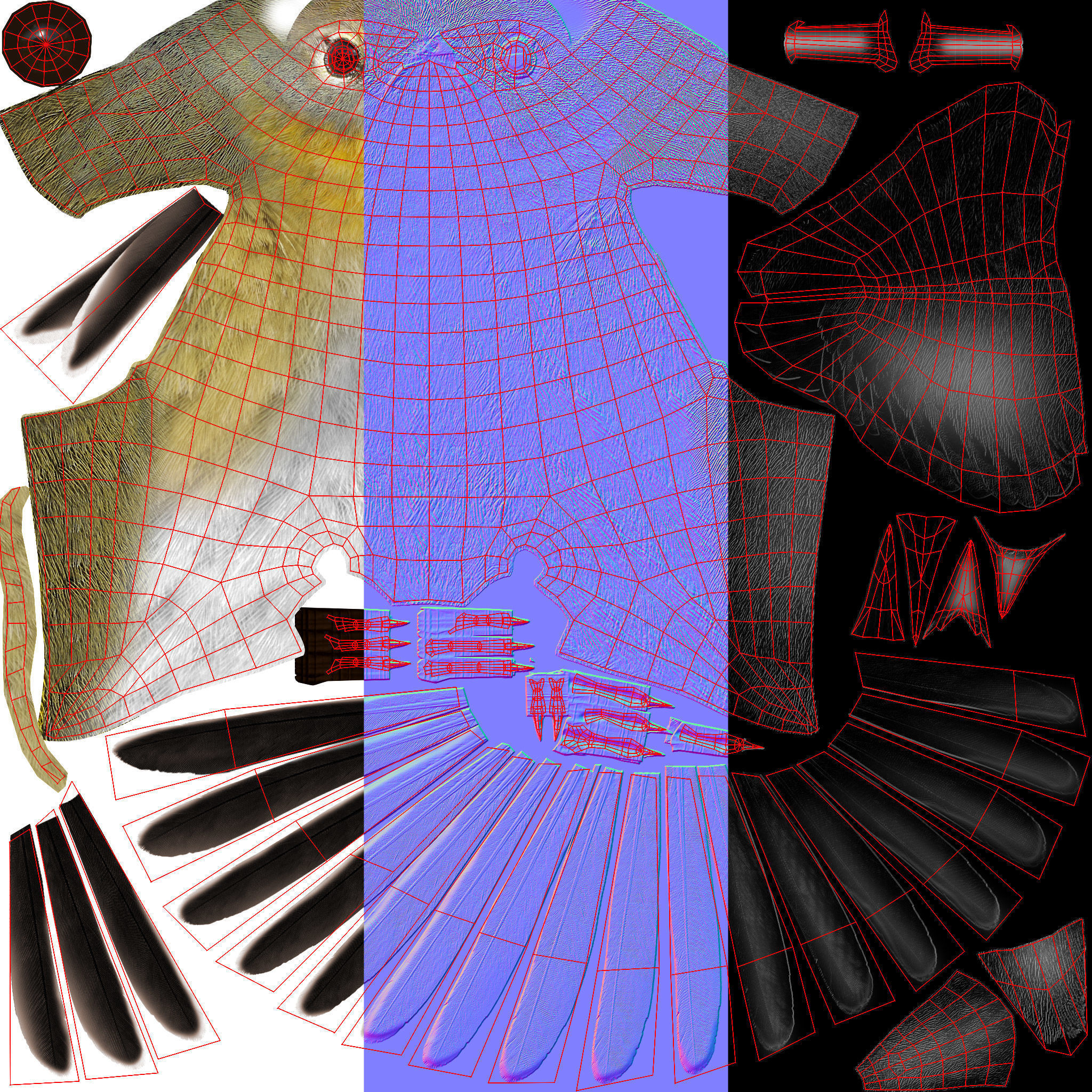 3D Bird Pack Pine Warbler Male and Female Low-poly 3D model Low-poly 3D model_38