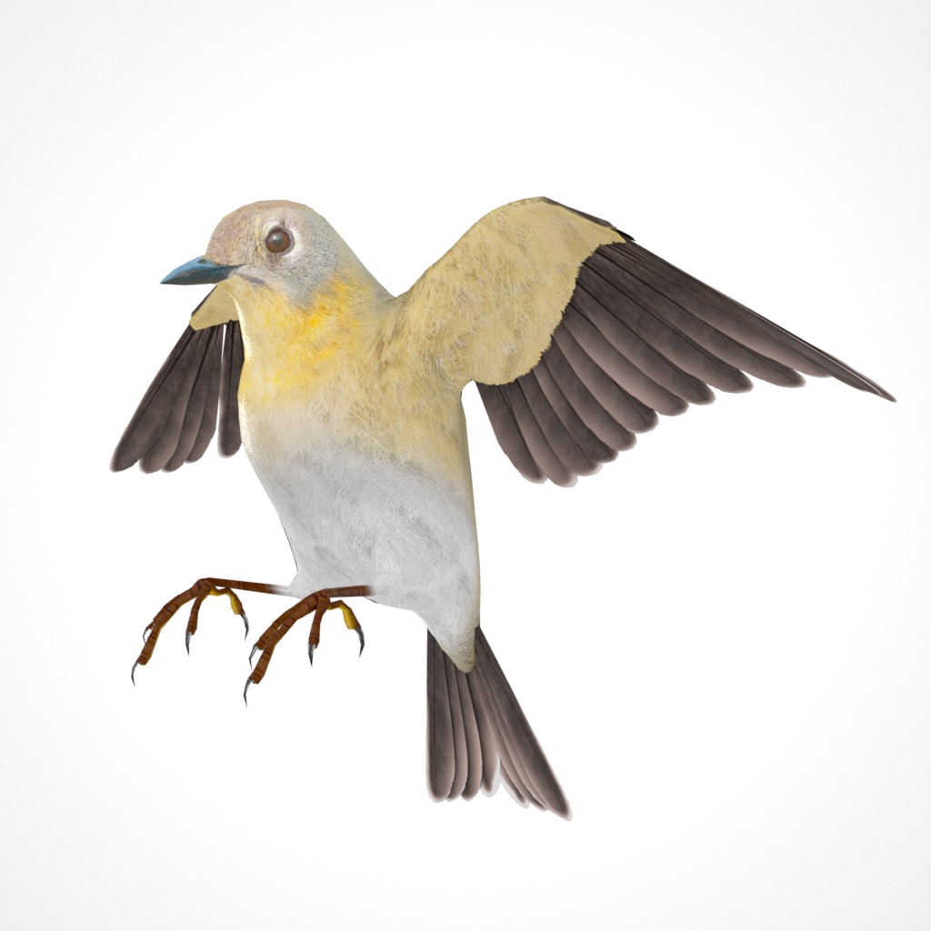 3D Bird Pack Pine Warbler Male and Female Low-poly 3D model Low-poly 3D model_27