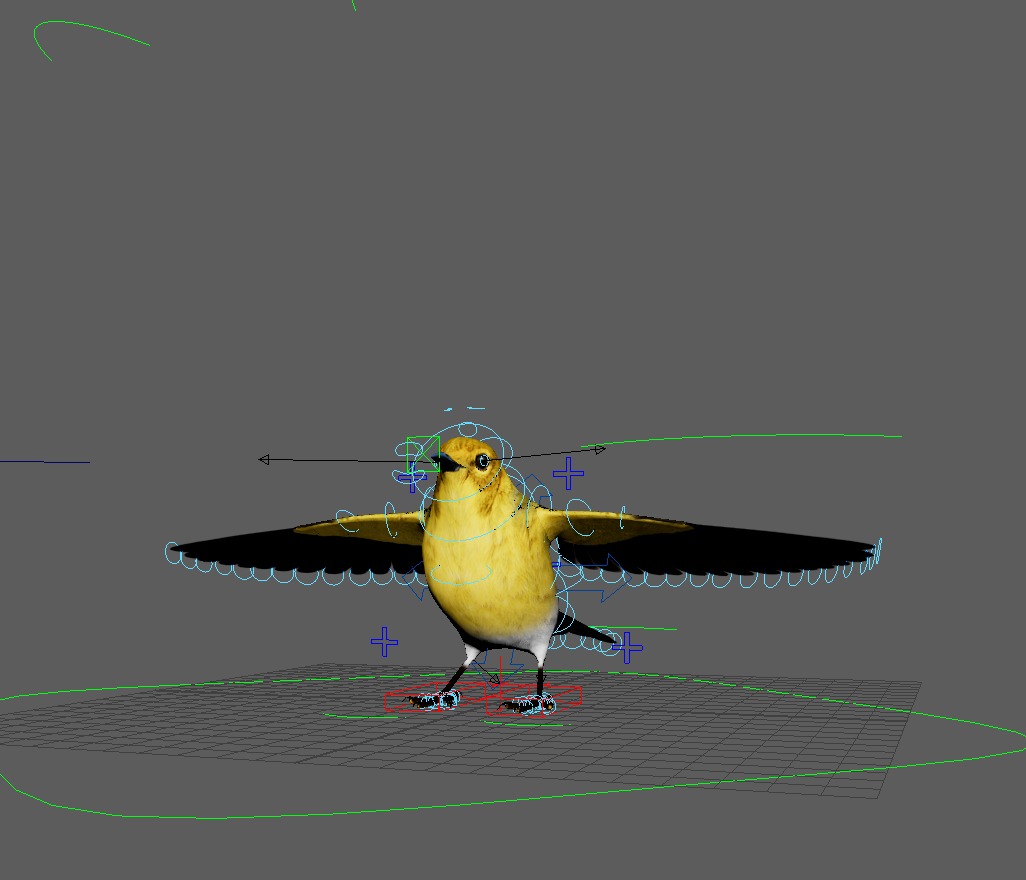 3D Bird Pack Pine Warbler Male and Female Low-poly 3D model Low-poly 3D model_36