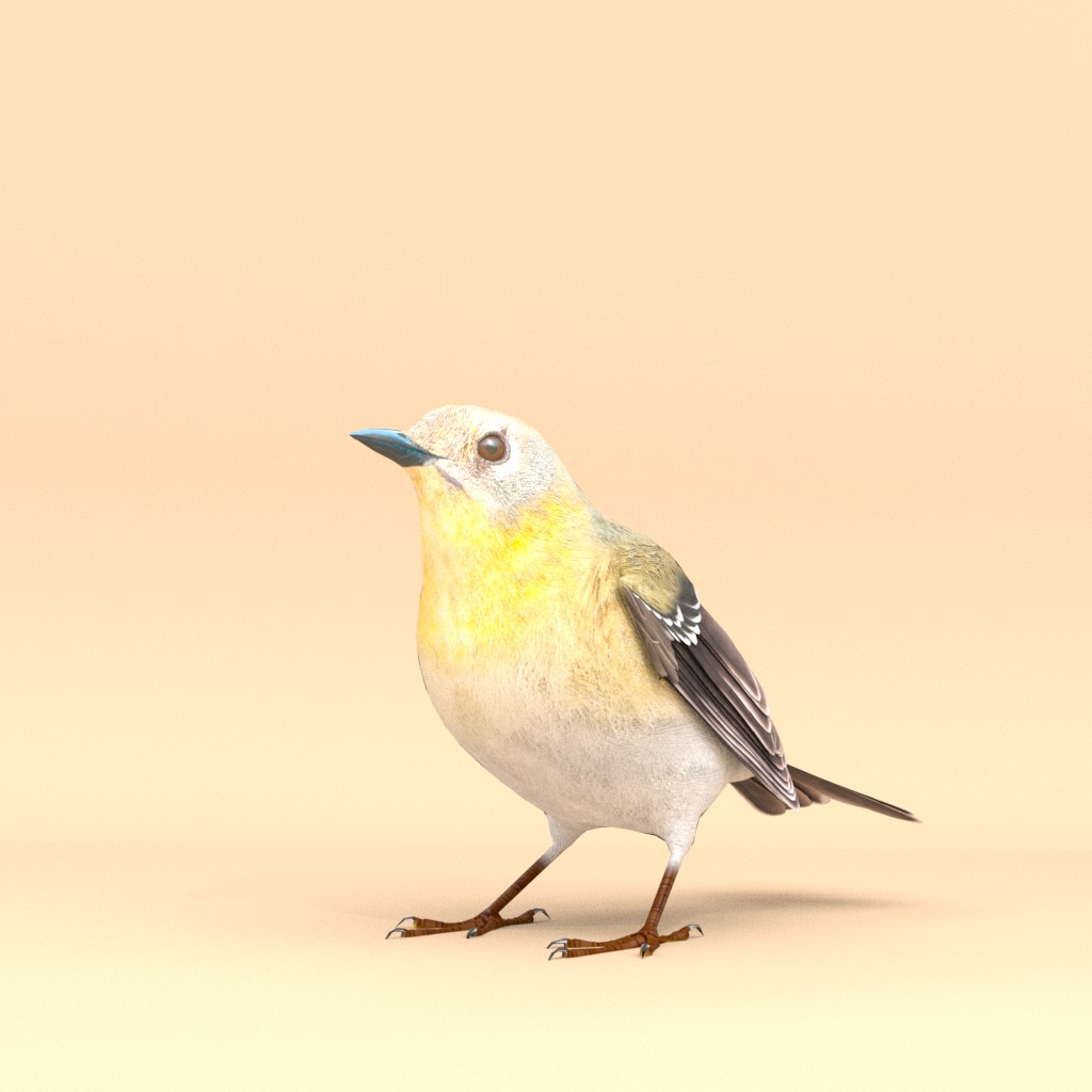 3D Bird Pack Pine Warbler Male and Female Low-poly 3D model Low-poly 3D model_3