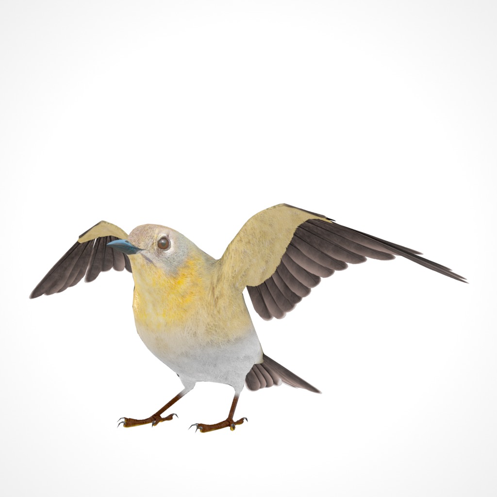 3D Bird Pack Pine Warbler Male and Female Low-poly 3D model Low-poly 3D model_31
