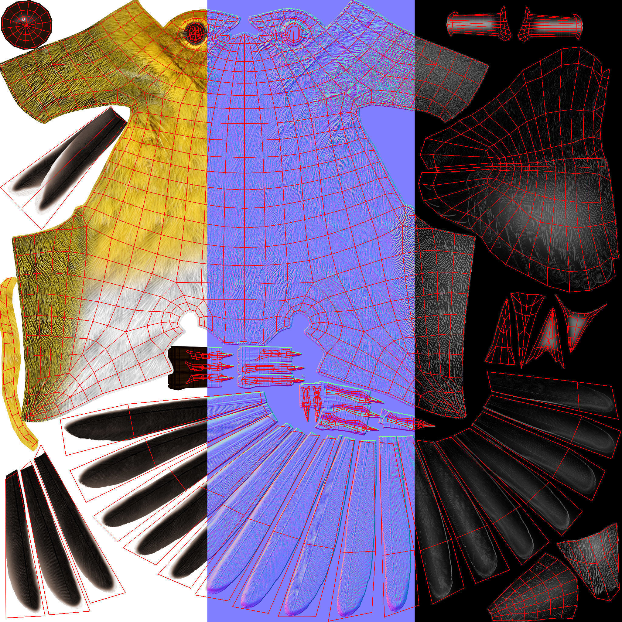 3D Bird Pack Pine Warbler Male and Female Low-poly 3D model Low-poly 3D model_37