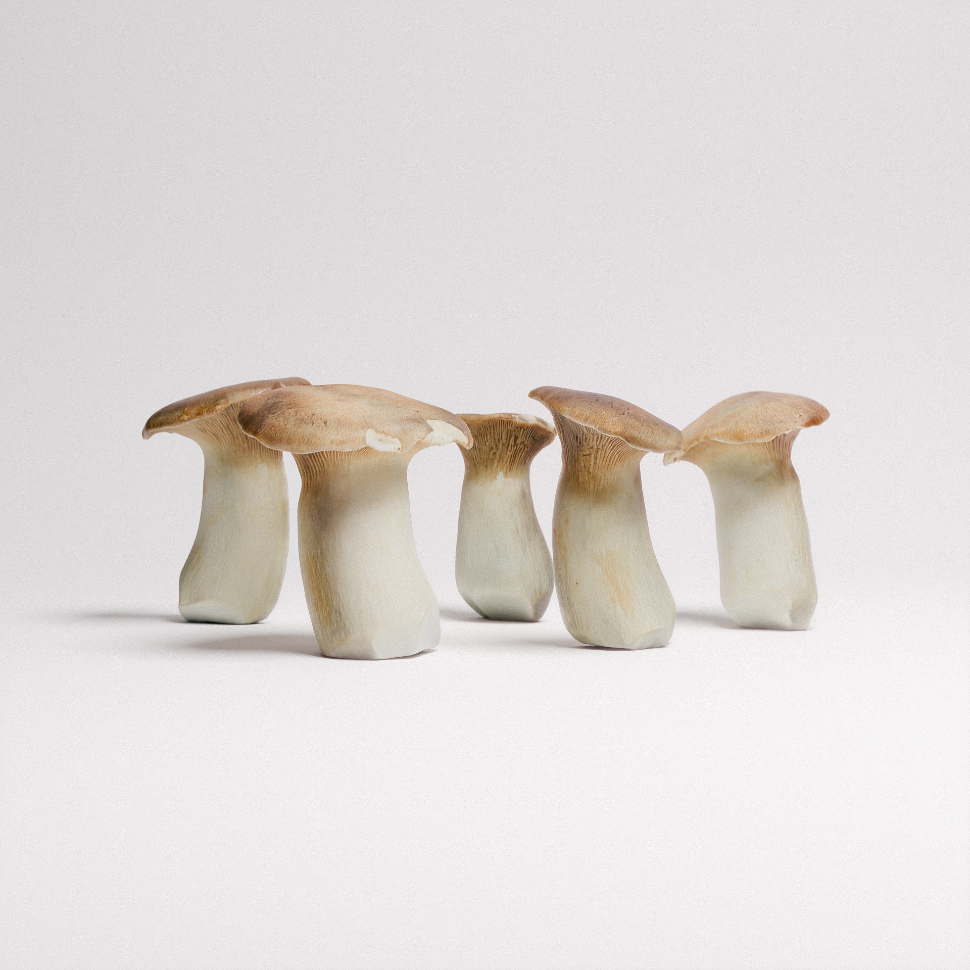 King Oyster Mushroom 3D model_6