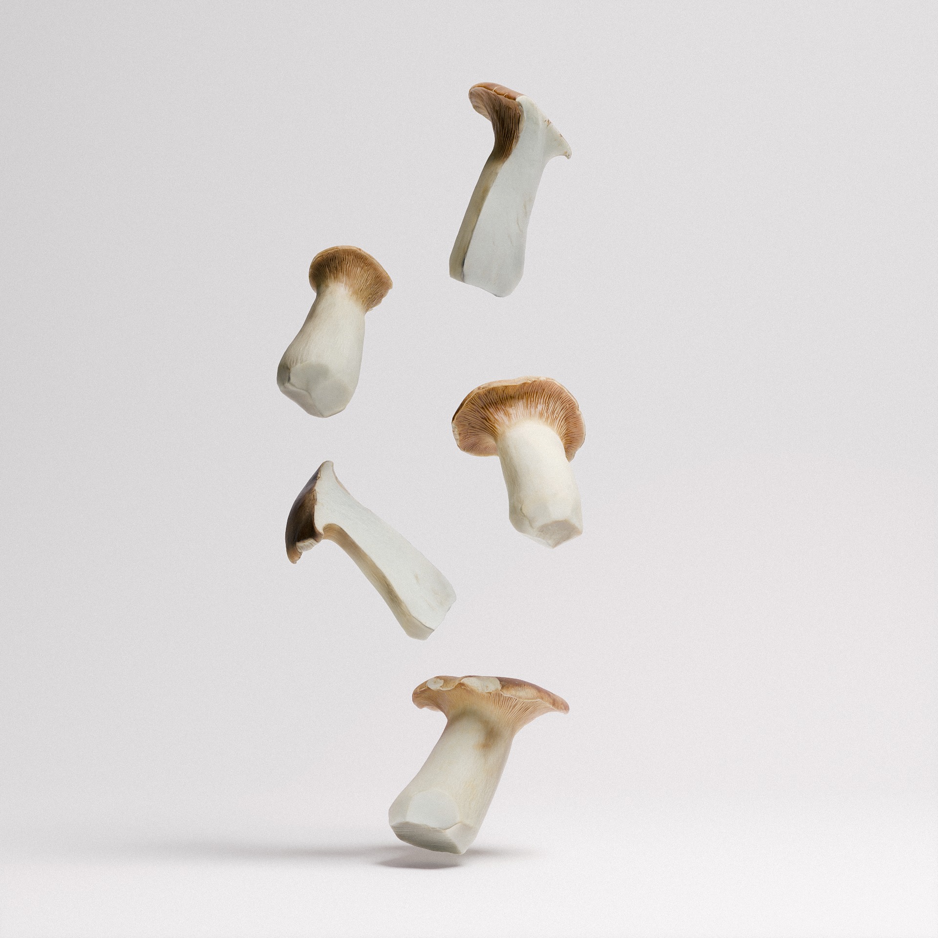 King Oyster Mushroom 3D model_1