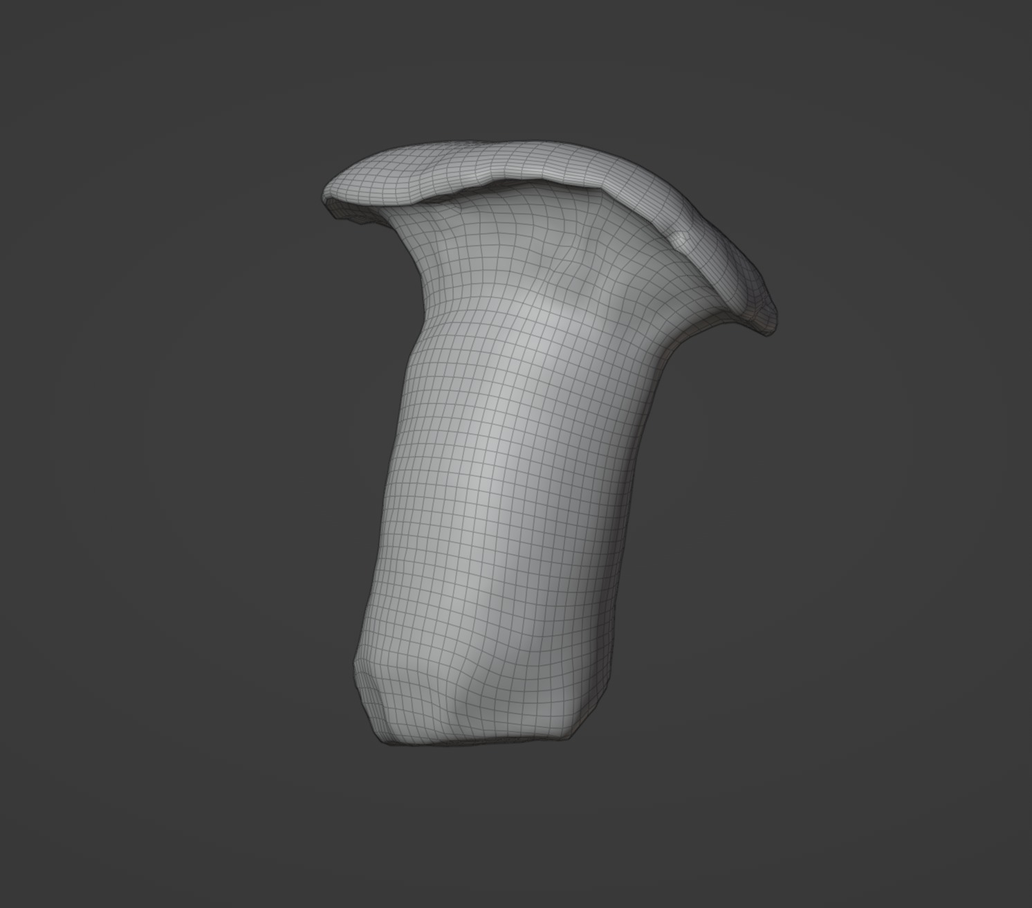 King Oyster Mushroom 3D model_9