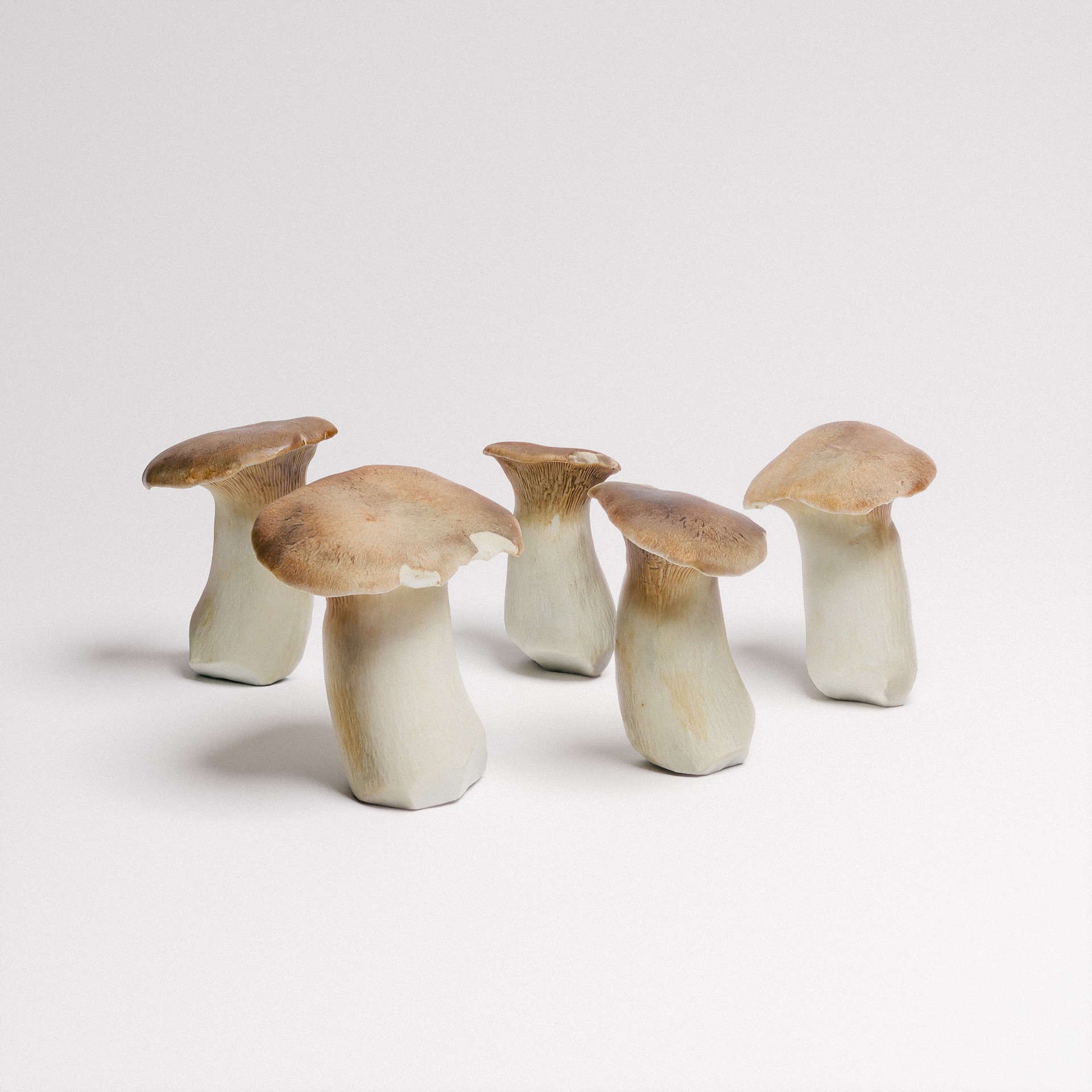 King Oyster Mushroom 3D model_4