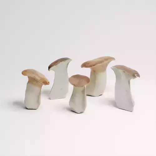 King Oyster Mushroom 3D model