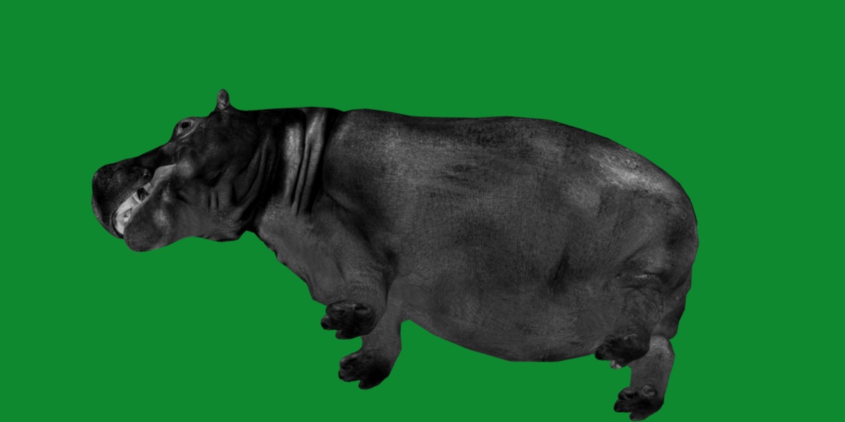 Hippopotamus Amphibius Low-poly 3D model_9