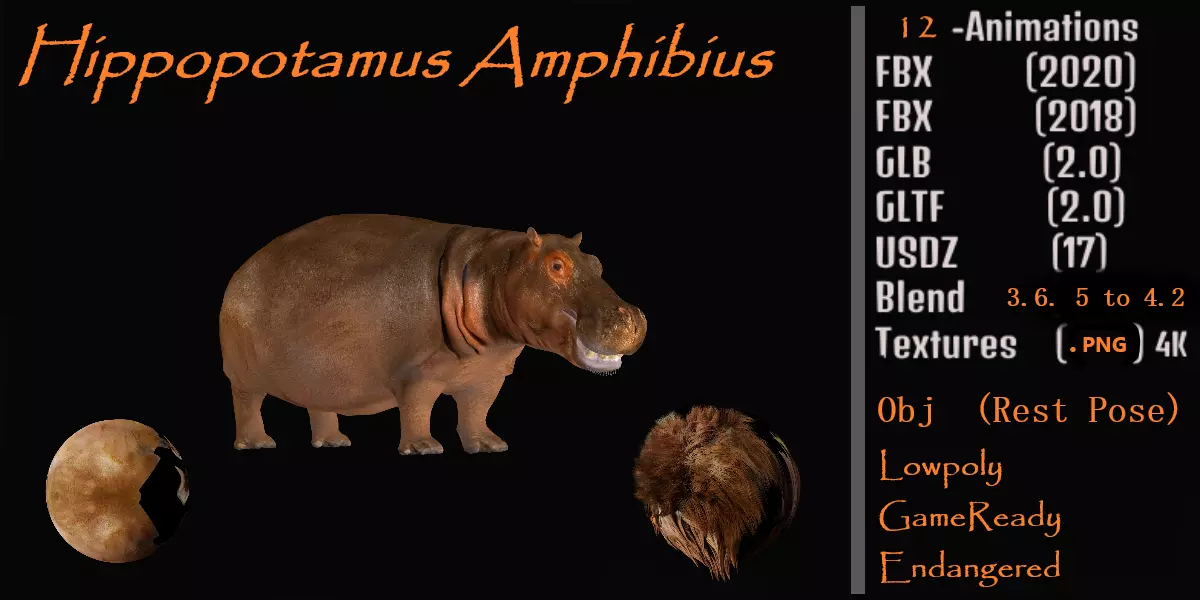 Hippopotamus Amphibius Low-poly 3D model_0