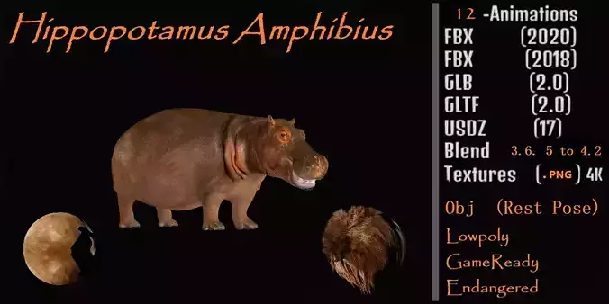 Hippopotamus Amphibius Low-poly 3D model