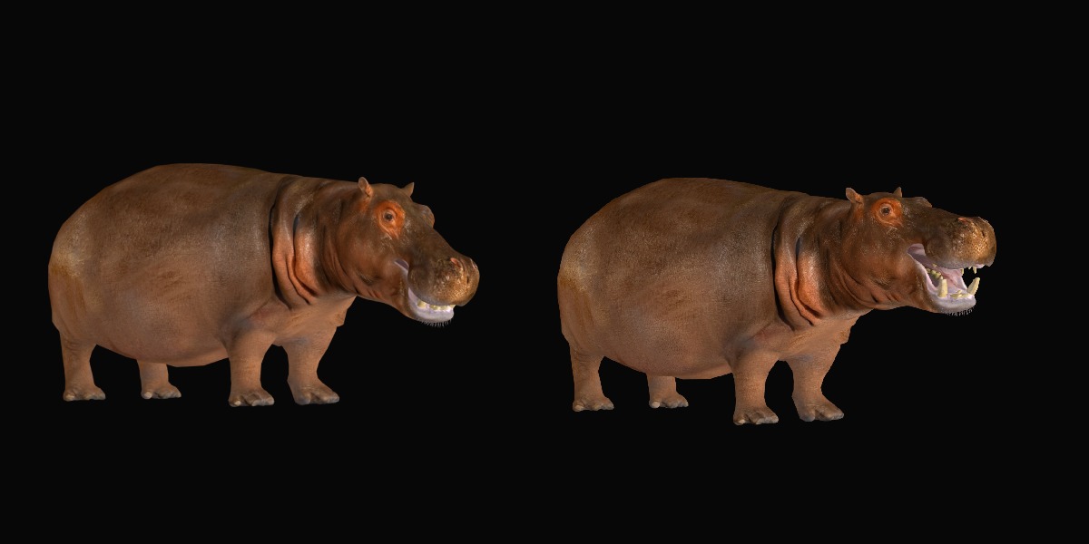 Hippopotamus Amphibius Low-poly 3D model_2